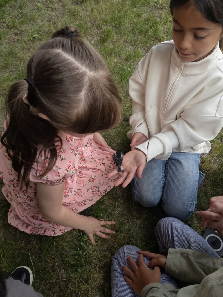 Two young girls kneeling on the grass, gently holding a tiny black and white bird in their hands.