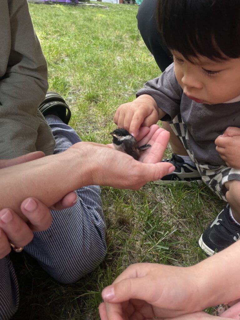 A toddler reaching out to touch a small bird resting in an adult's open hand on the grass.